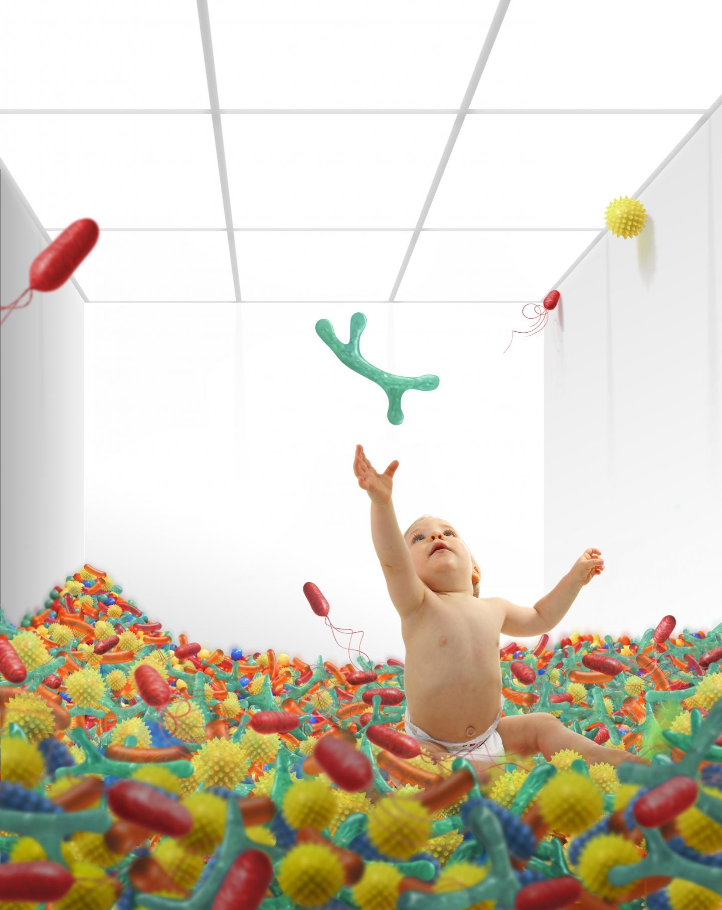 Gut Microbiomes of Infants