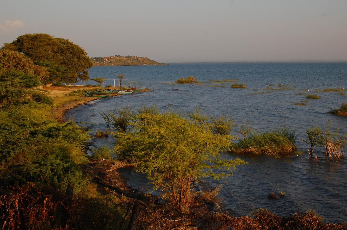 Lake Victoria Water Study