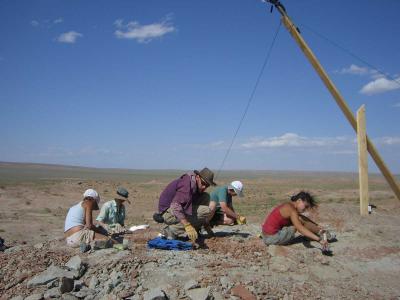 Mongolian Dinosaur Find