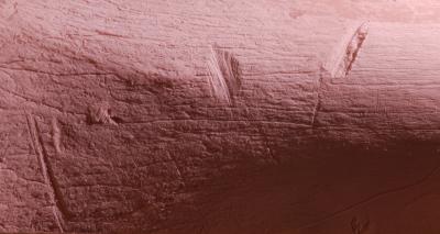 Bone Markings: Something for Researchers to Chew on (2 of 4)