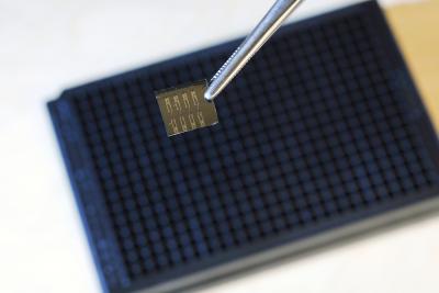 Microplate Size Comparison