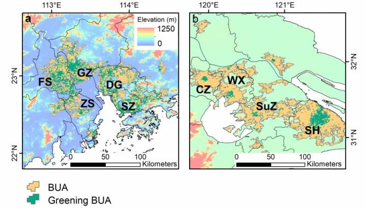 Greening built-up areas in PRD and YRD
