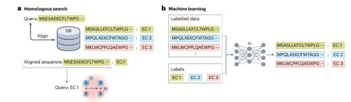 KAIST Proposes AI-Driven Strategy to Solve Long-Standing Mystery of Gene Function