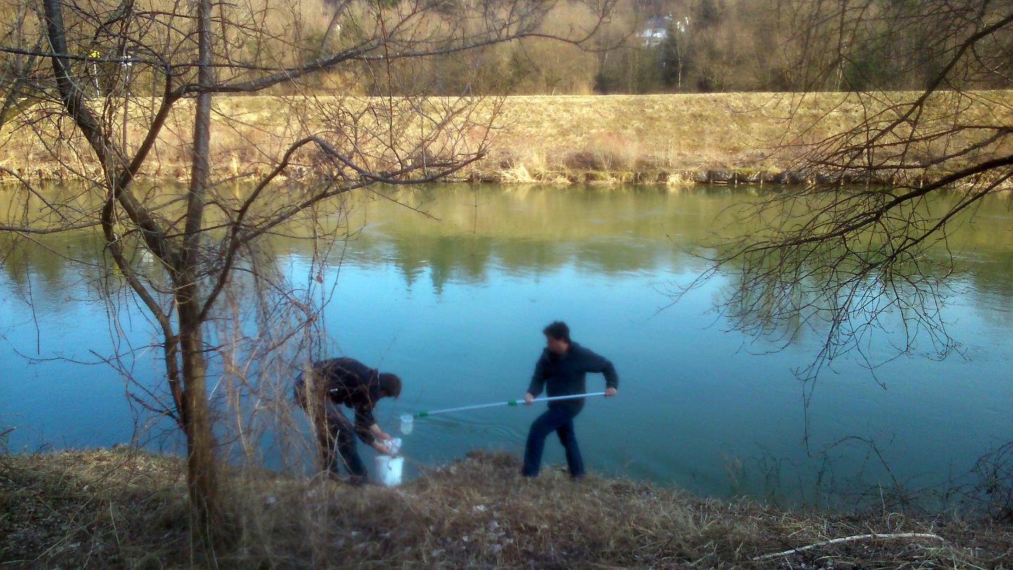 Water Analysis