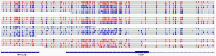 DNA image