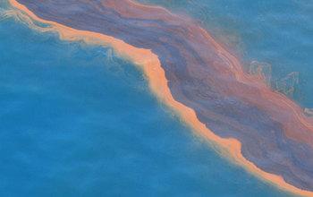 Deepwater Horizon Disaster