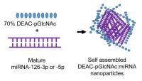 Diagram Illustrating the Assembly of the miRNA/nanoparticle Carrier