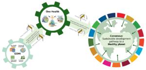 One Health as a Framework for a Healthy Planet
