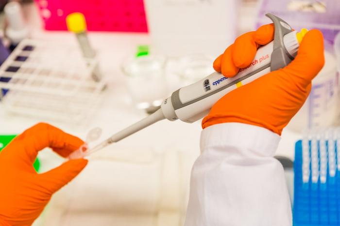 Lab work