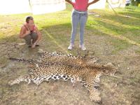 Ninon Meyer Inspects Jaguar Skin