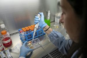 Organoids