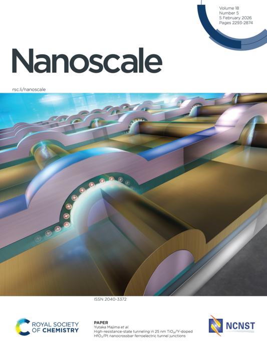 Artistic rendering of an array of ferroelectric tunnel junctions for next-generation memory device