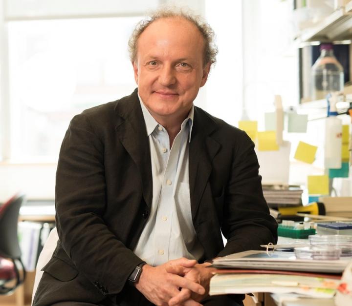 Pier Paolo Pandolfi, Beth Israel Deaconess Medical Center