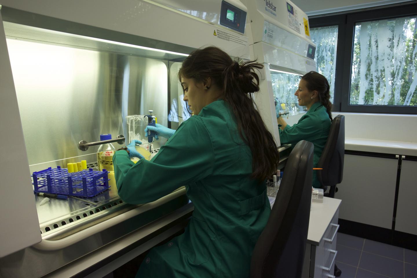Researches at Institute of Agro Biotechnology