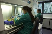 Researches at Institute of Agro Biotechnology