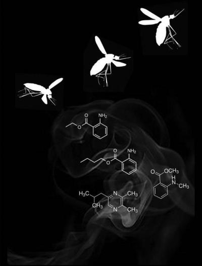 4 compounds