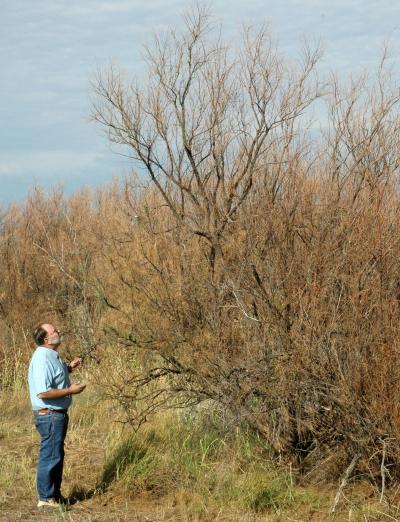 Dr. Jerry Michels, Texas A&M AgriLife Research 