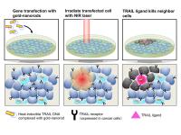 Image 2 Gold Nanorods
