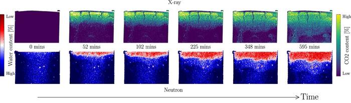 Carbonation as revealed by the neutron and X-ray imaging datasets.