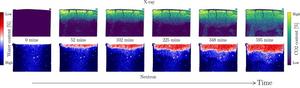 Carbonation as revealed by the neutron and X-ray imaging datasets.