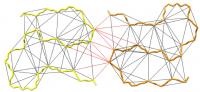 Network