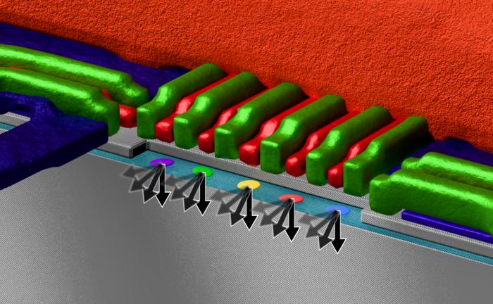 Rendered Illustration of Five Silicon Spin Qubits Controlled in Parallel through a Shared Microwave Line