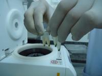 Cowpea Enzymes
