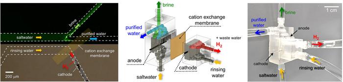 Figure 2. (Left) Microfluidic experiment demonstrating simultaneous freshwater–hydrogen production (Center) Exploded view of the meso-scale freshwater–hydrogen production platform