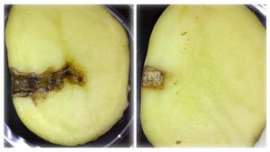Inoculated potatoes