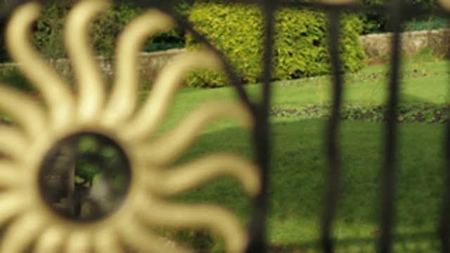 Green Spaces Deliver Lasting Mental Health Benefits