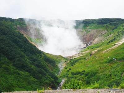 The Microbes of Kamchatka