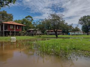 Amazonas community