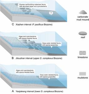 Diagrams depicting the evolutionary history of the late Katian biotas in the JCY area, East China.