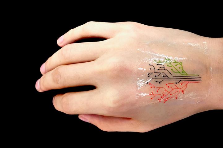 3-D Printed Hydrogels