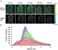 Nanostructural Changes