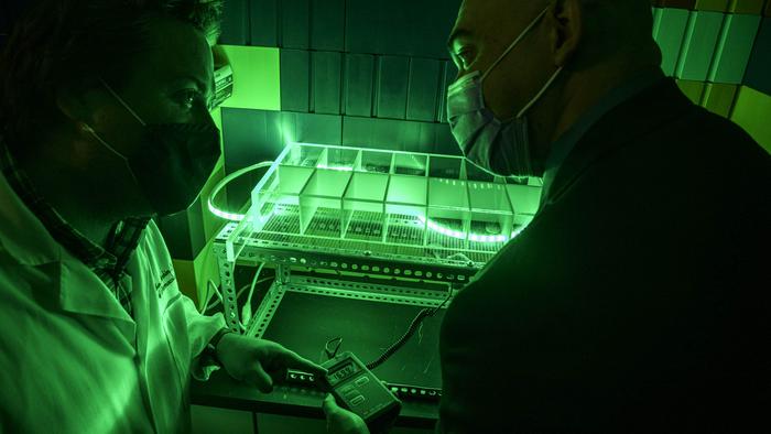 Green light therapy