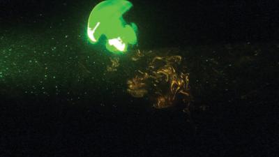 Swimming Animals Affect Ocean Mixing (1 of 3)