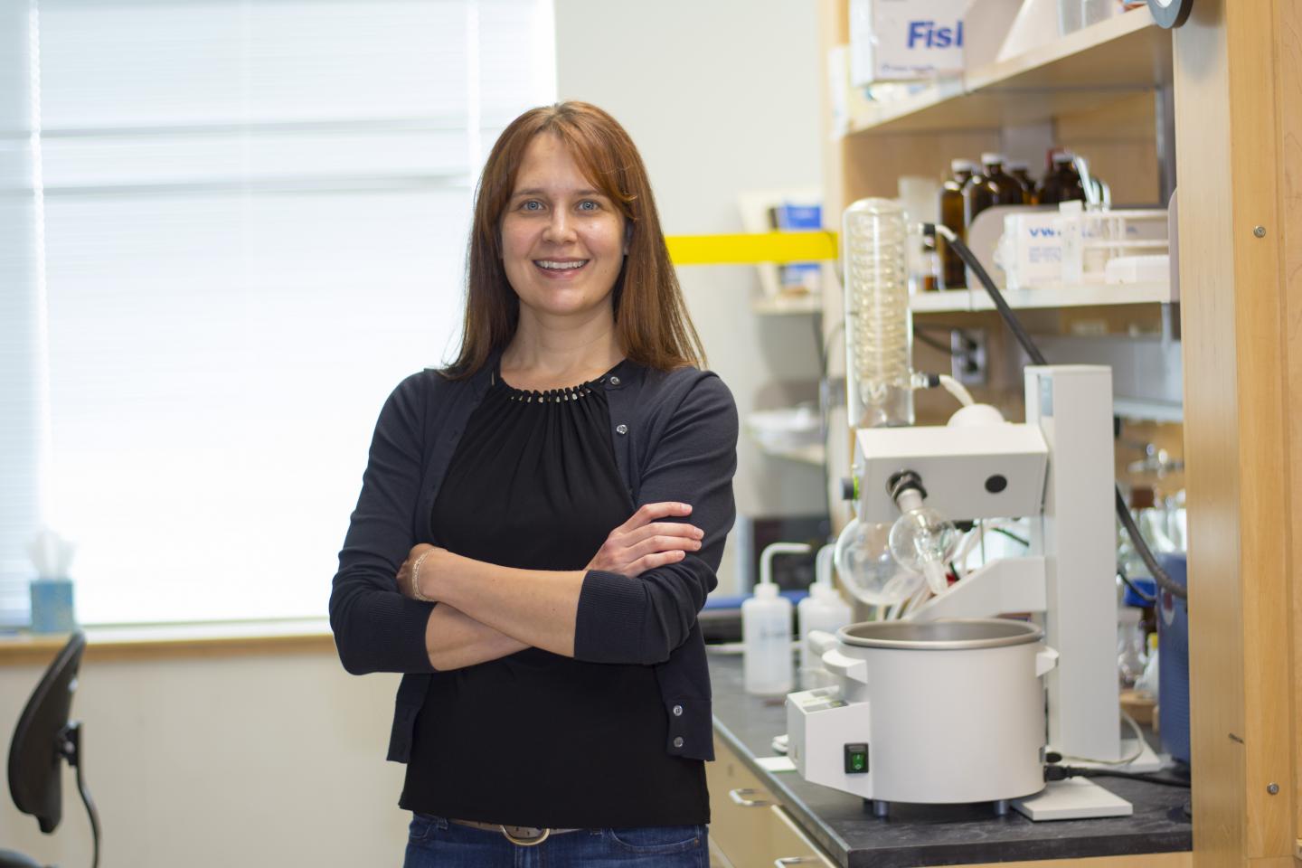 Anita Mattson, Worcester Polytechnic Institute