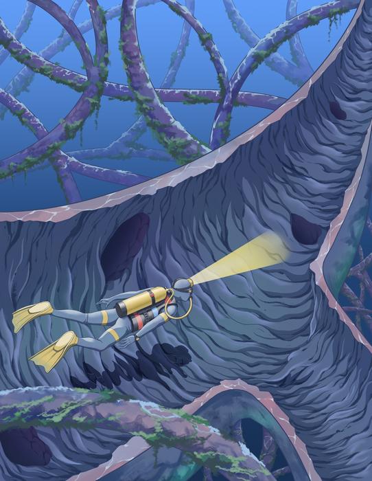 diving into the inside surface of blood vessels