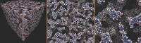 Colloidal Gel