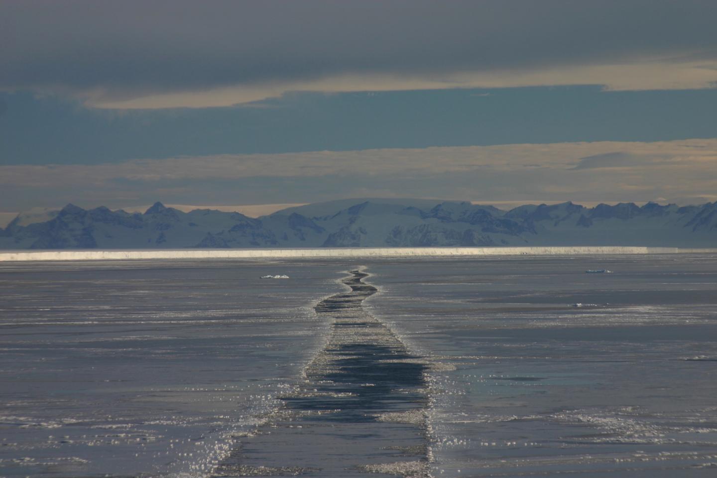The Making of Antarctica -- Competing Theories Come Together