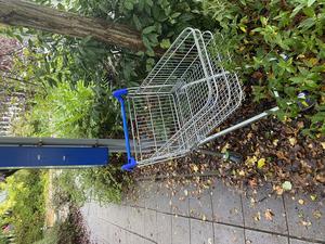 Abandoned Trolley 3