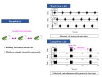 Figure 3. Empirical Data on a Frog Chorus