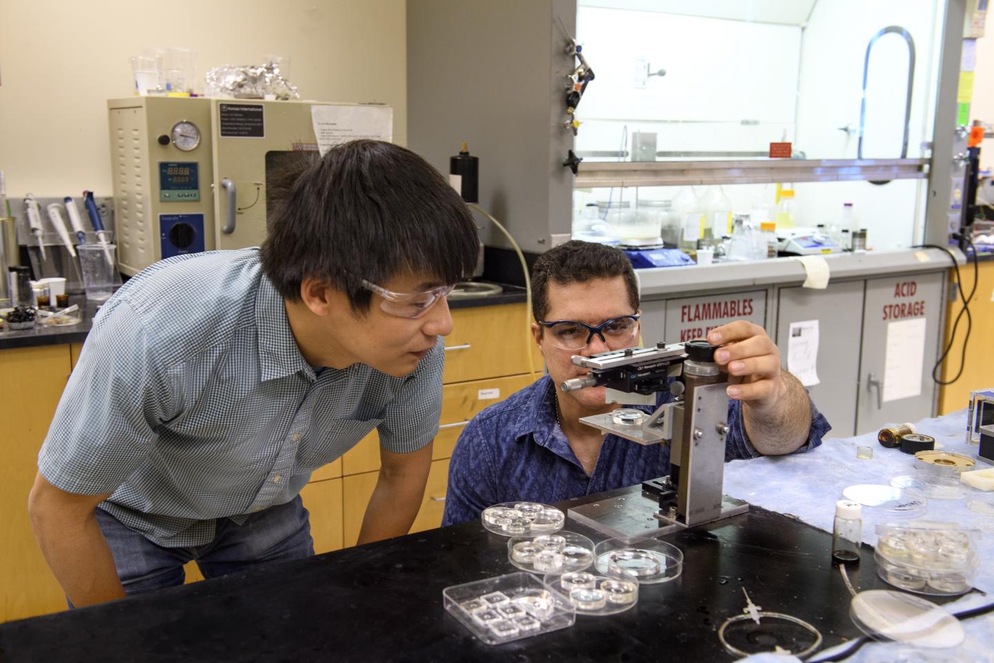 Lei Lab