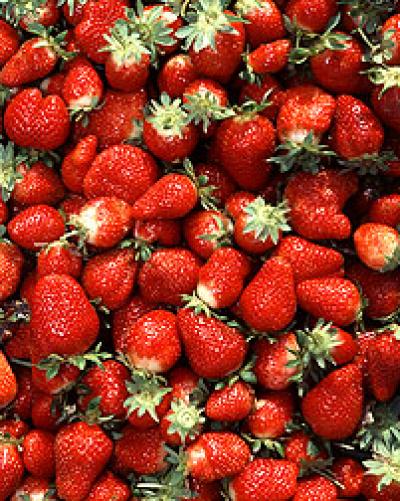 Fresh Fruits and Vegetables Retain Antioxidants Long After Purchase