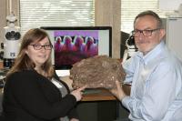 Kirstin Brink and Robert Reisz, University of Toronto Mississauga