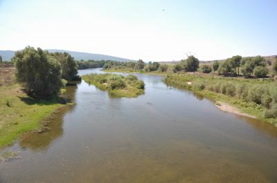 Koca Stream