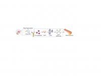 Inflammatory Changes Involving Brain, Artery