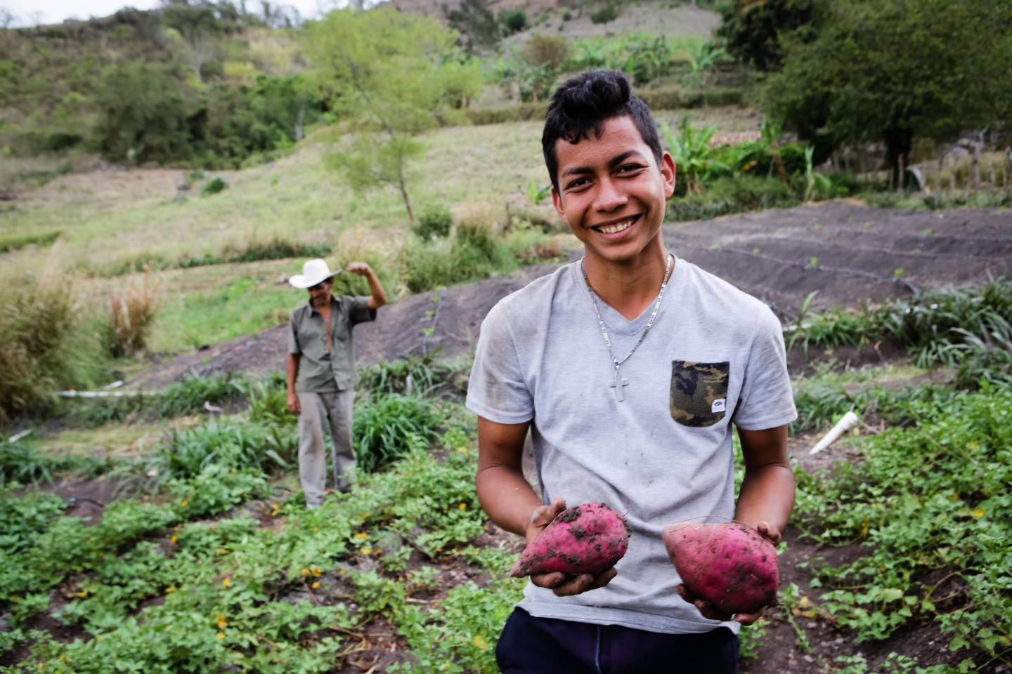 Agriculture