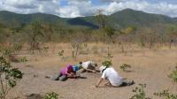 Fieldwork
